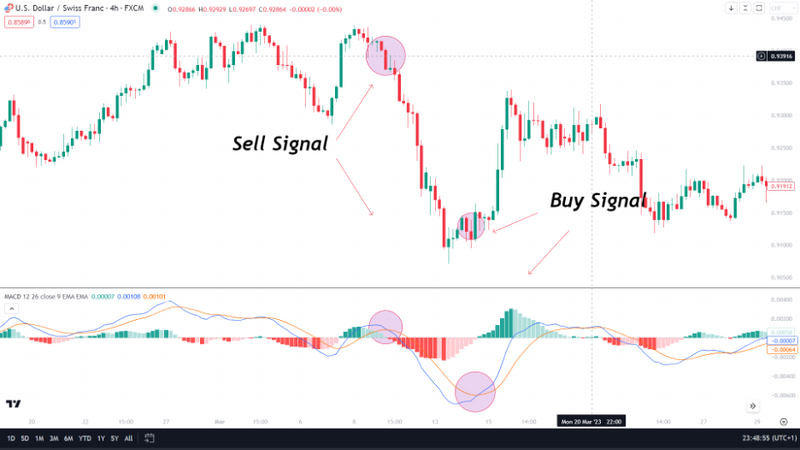 Automated MACD Trading: Optimizing Returns with AI