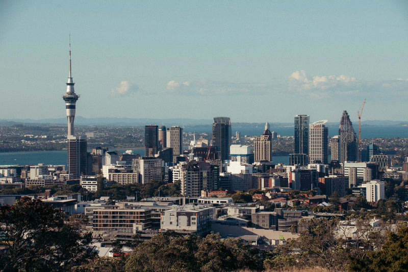 NZ Official Cash Rate (OCR): Understanding New Zealand’s Core Monetary Lever