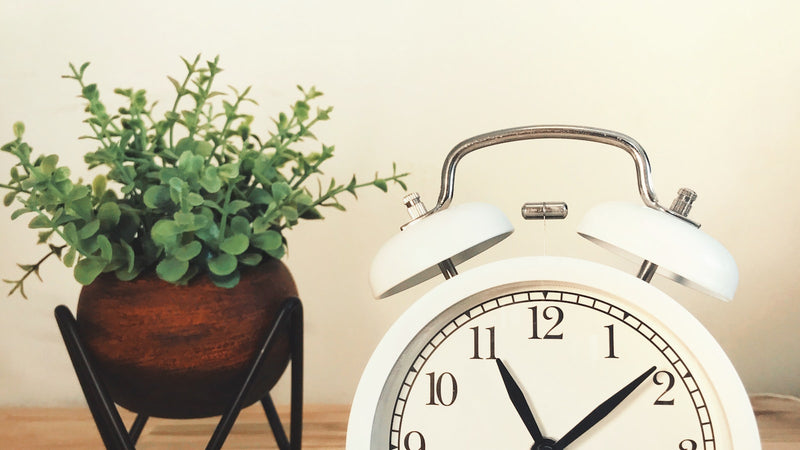 White alarm clock beside a potted plant on a desk. Photo by Tubagus Andri Maulana on Unsplash.